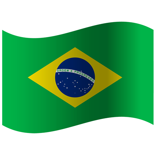 Brazil Flag